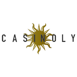 Casinoly Casino NZ Review
